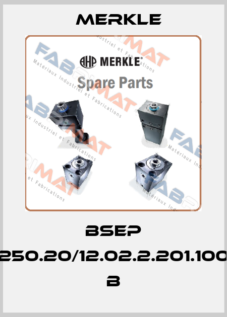 BSEP 250.20/12.02.2.201.100 B Merkle