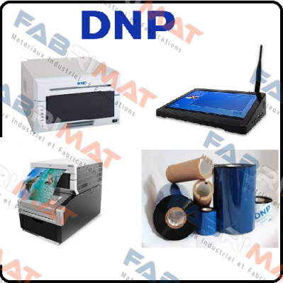 IDNP DSB20 DNP