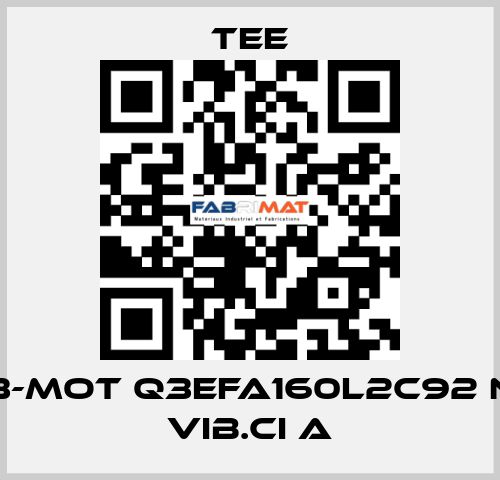 3-Mot Q3EFA160L2C92 N Vib.CI A TEE
