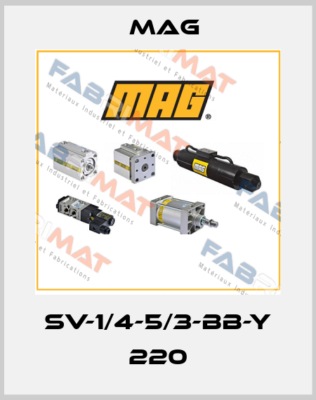 SV-1/4-5/3-BB-Y 220 Mag