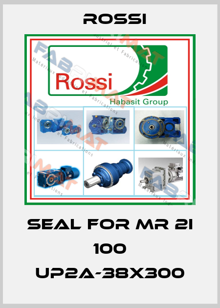 seal for MR 2I 100 UP2A-38X300 Rossi