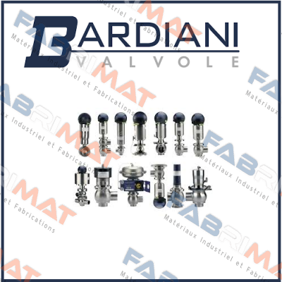 repair kit for BBZP DN 50 Bardiani Valvole