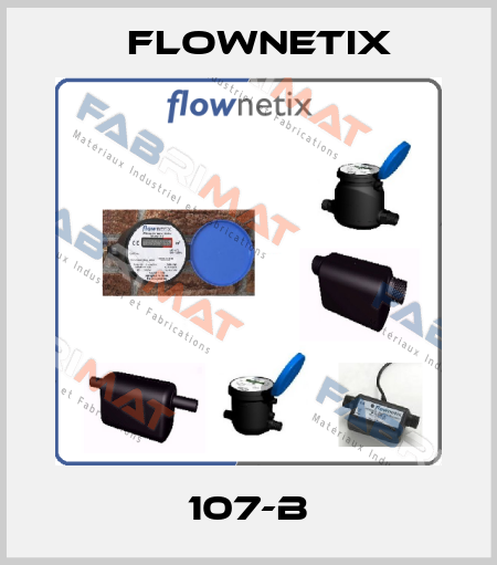 107-B Flownetix