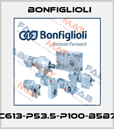 C613-P53.5-P100-B5B7 Bonfiglioli