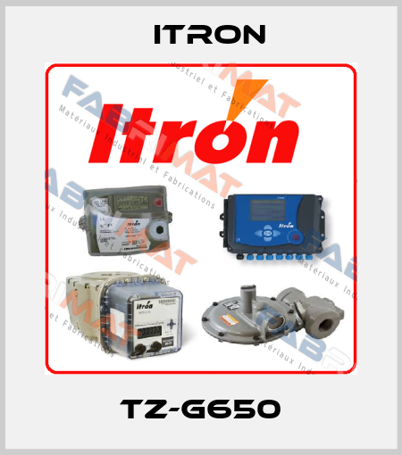 TZ-G650 Itron