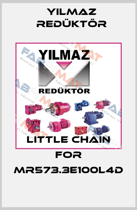 Little chain for MR573.3E100L4D Yılmaz Redüktör
