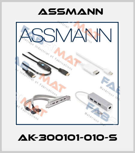 AK-300101-010-S Assmann