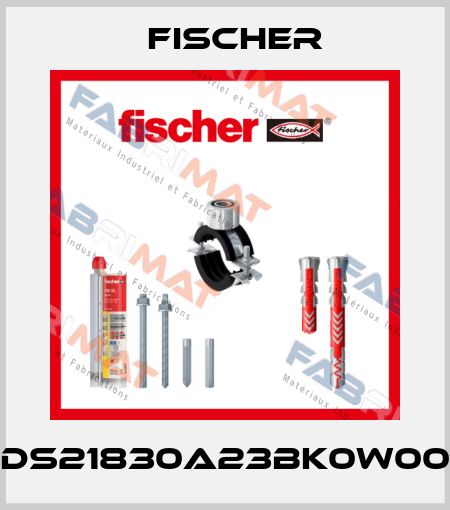 DS21830A23BK0W00 Fischer