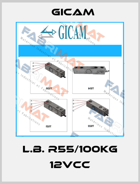 L.B. R55/100Kg 12VCC Gicam
