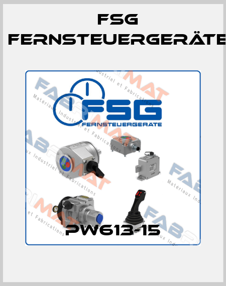 PW613-15 FSG Fernsteuergeräte