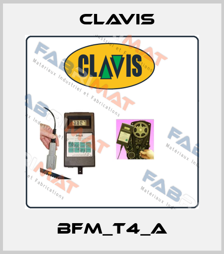 BFM_T4_A Clavis