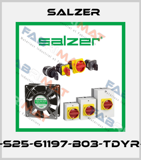 25A-S25-61197-B03-TDYR-025 Salzer
