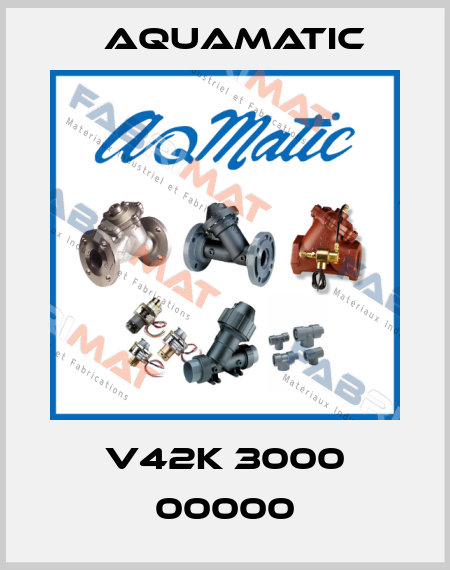 V42K 3000 00000 AquaMatic