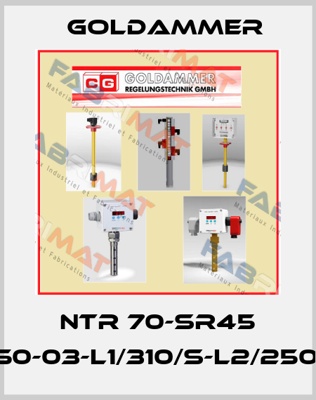 NTR 70-SR45 K3-A-VM-L450-03-L1/310/S-L2/250/S-I-MS-24V Goldammer