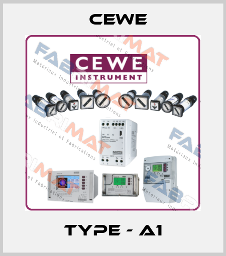 Type - A1 Cewe