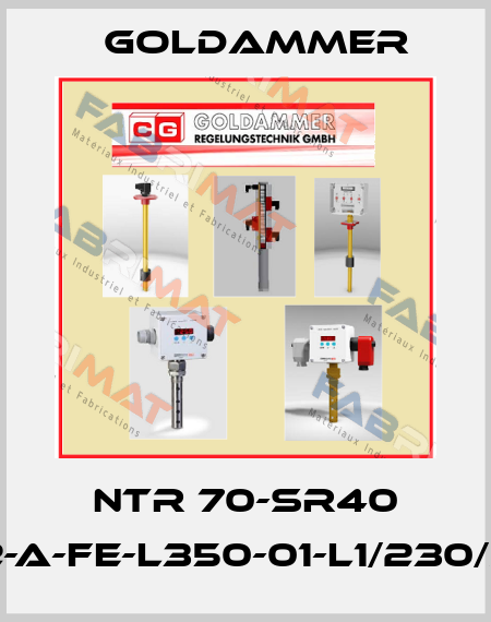 NTR 70-SR40 K2-A-FE-L350-01-L1/230/S-I Goldammer