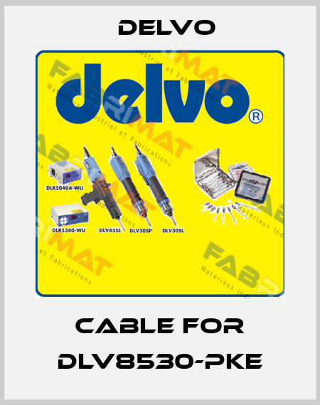 Cable for DLV8530-PKE Delvo