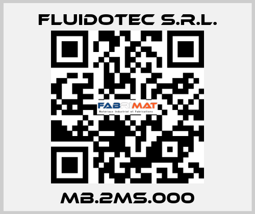 MB.2MS.000 FLUIDOTEC S.r.l.