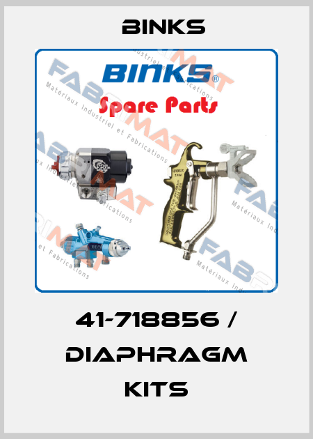 41-718856 / Diaphragm Kits Binks