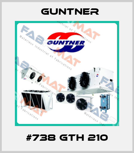 #738 GTH 210 Guntner