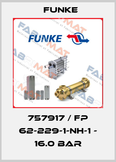 757917 / FP 62-229-1-NH-1 - 16.0 bar Funke