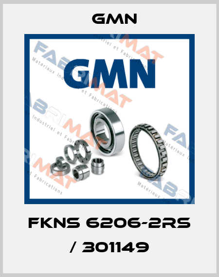 FKNS 6206-2RS / 301149 Gmn
