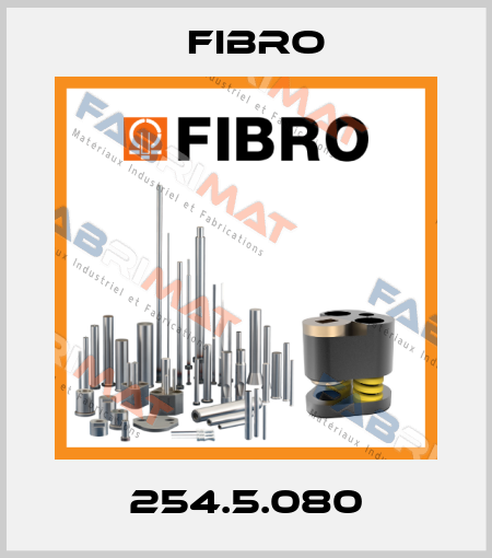 254.5.080 Fibro