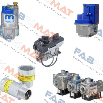 5031 / 66 / G R 500 SM - M017 ;gas pressure regulator Maxitrol