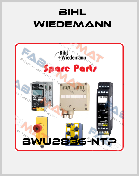 BWU2836-NTP Bihl Wiedemann