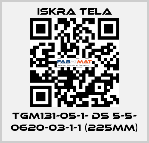 TGM131-05-1- DS 5-5- 0620-03-1-1 (225mm) ISKRA TELA