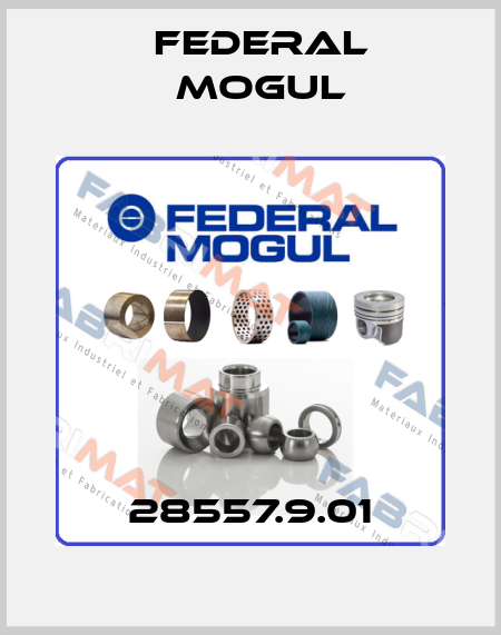 28557.9.01 Federal Mogul