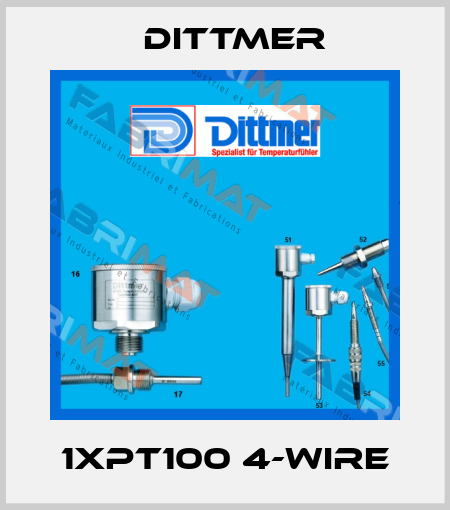1xPT100 4-wire Dittmer