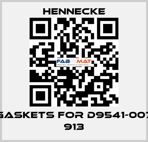 gaskets for D9541-007 913 Hennecke