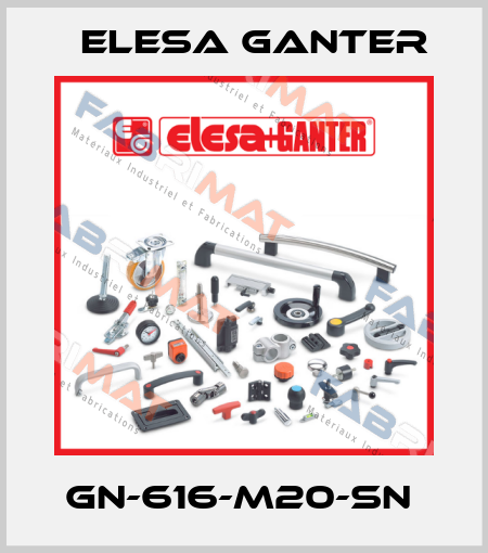 GN-616-M20-SN  Elesa Ganter