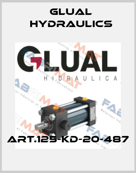 ART.125-KD-20-487 Glual Hydraulics