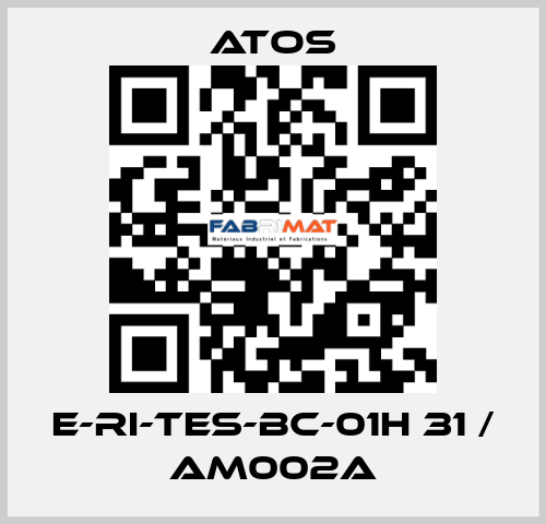 E-RI-TES-BC-01H 31 / AM002A Atos