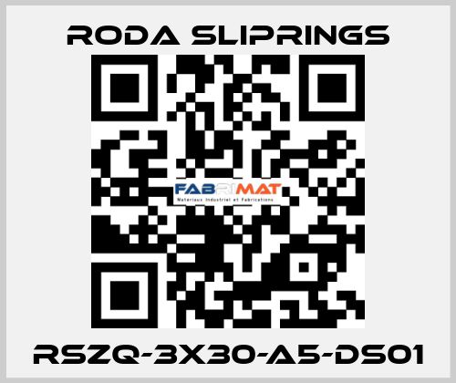RSZQ-3X30-A5-DS01 Roda Sliprings