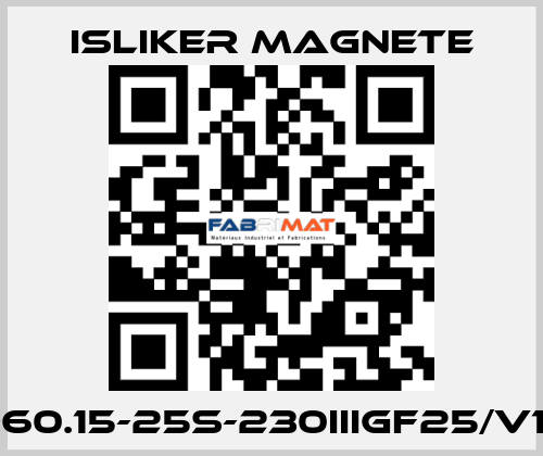 GIs-60.15-25S-230IIIGF25/V1474 ISLIKER MAGNETE