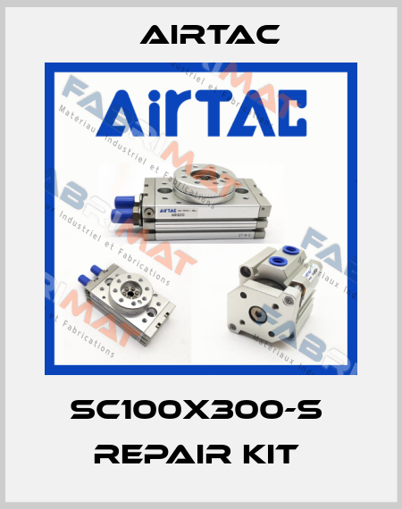 SC100X300-S  Repair Kit  Airtac