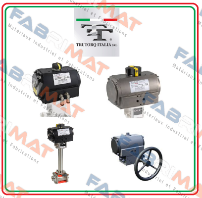 TC250A0M Trutorq