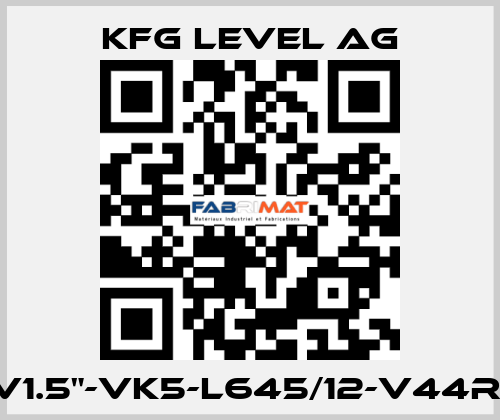 NMG125-RV1.5"-VK5-L645/12-V44R-10PVC-Ex KFG Level AG