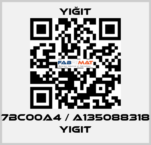7BC00A4 / A135088318 yigit Yiğit