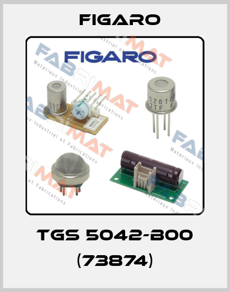 TGS 5042-B00 (73874) Figaro