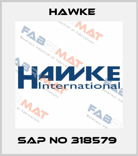 SAP No 318579  Hawke