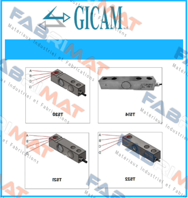 TS.1 350ohm Gicam