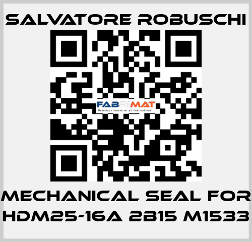 mechanical seal for HDM25-16A 2B15 M1533 SALVATORE ROBUSCHI