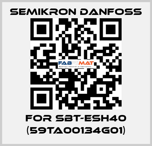For SBT-ESH40 (59TA00134G01) SEMIKRON DANFOSS