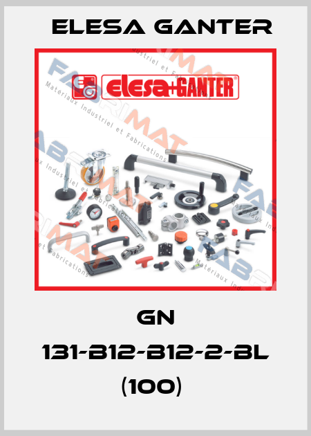 GN 131-B12-B12-2-BL (100)  Elesa Ganter