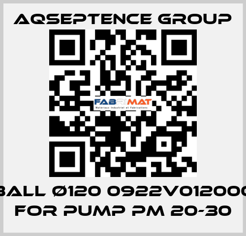 BALL ø120 0922V012000 FOR PUMP PM 20-30 AQSEPTENCE GROUP