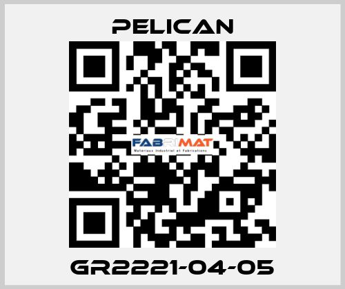 GR2221-04-05 Pelican